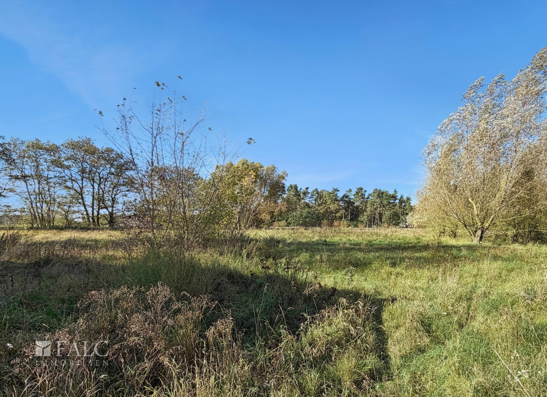 Grundstück Blick in Südwesten